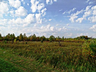 Plus de détails pour 9147 Corunna Rd, Flint, MI - Terrain à vendre