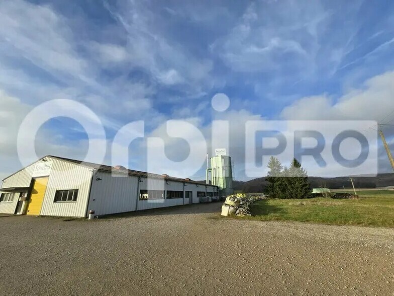 Local d'activités dans Liffol-le-Petit à vendre - Photo de l’immeuble – Image 1 sur 4