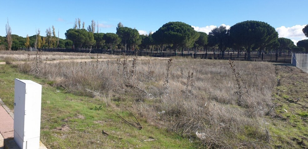 Terrain dans Aldeamayor de San Martín, Valladolid à vendre - Photo principale – Image 3 sur 25
