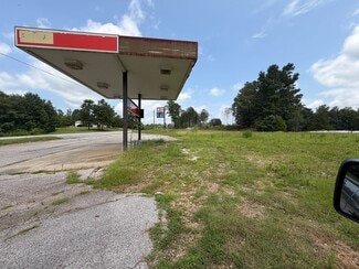 Plus de détails pour 93888 Highway 9, Lineville, AL - Terrain à vendre