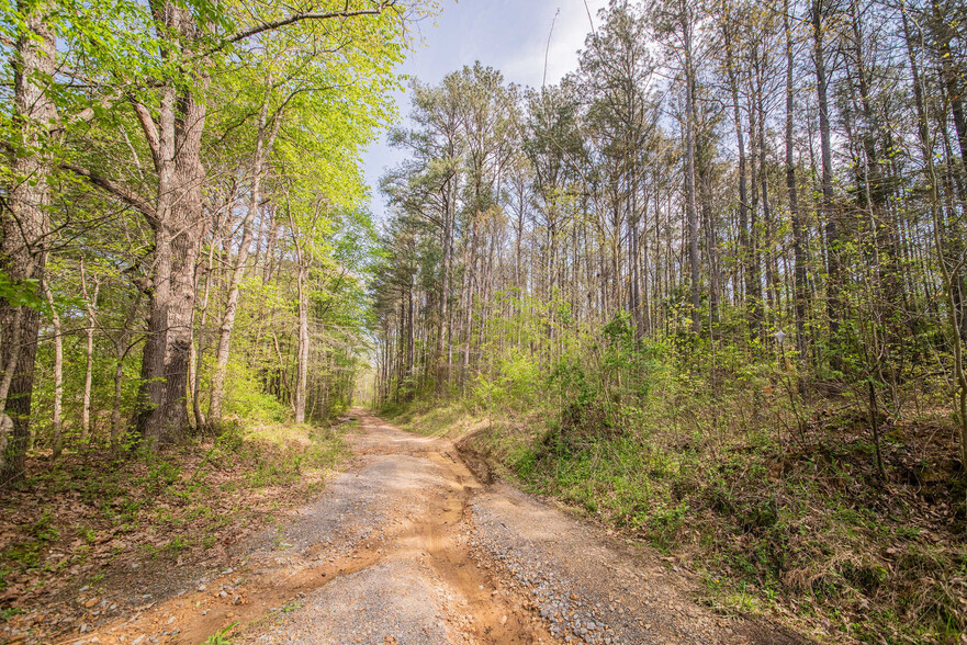 84 Launch Ln, Murray, KY à vendre - Photo de l’immeuble – Image 3 sur 9