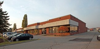 Plus de détails pour 135 East Beaver Creek Rd, Richmond Hill, ON - Industriel/Logistique à louer