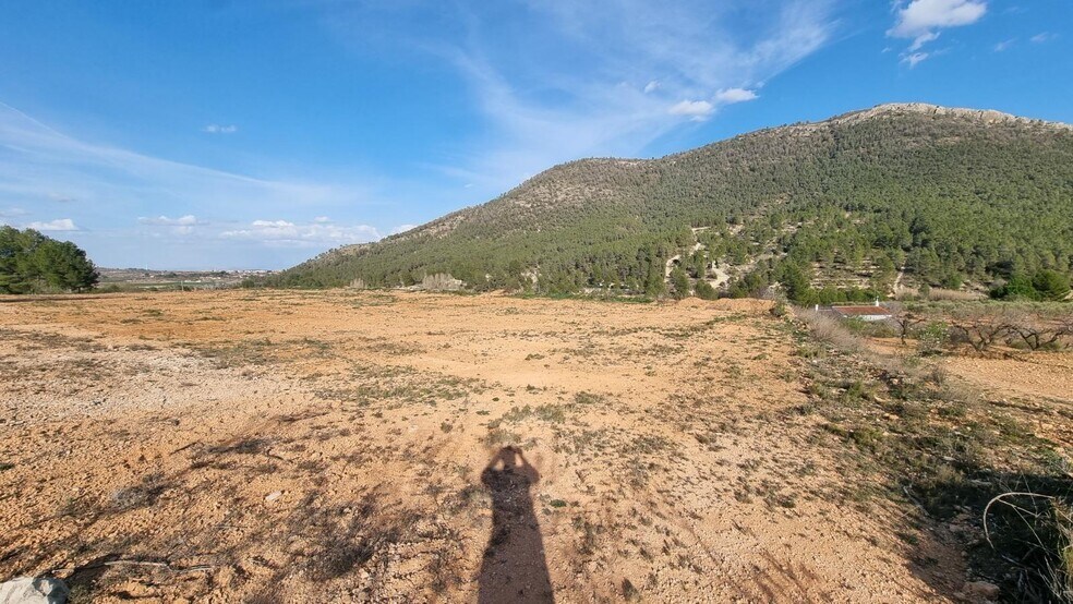 Polígono Industrial Marimingo, 16, Bullas, Murcia à vendre - Photo de l’immeuble – Image 3 sur 12