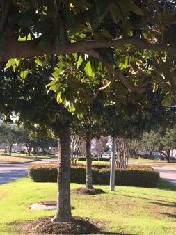 View Photo