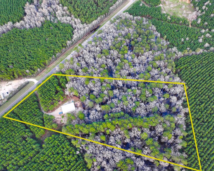 2388 FM 943, Livingston, TX à vendre - Photo principale – Image 1 sur 32