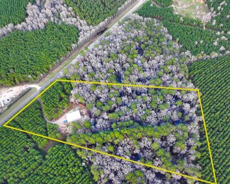 Plus de détails pour 2388 FM 943, Livingston, TX - Terrain à vendre
