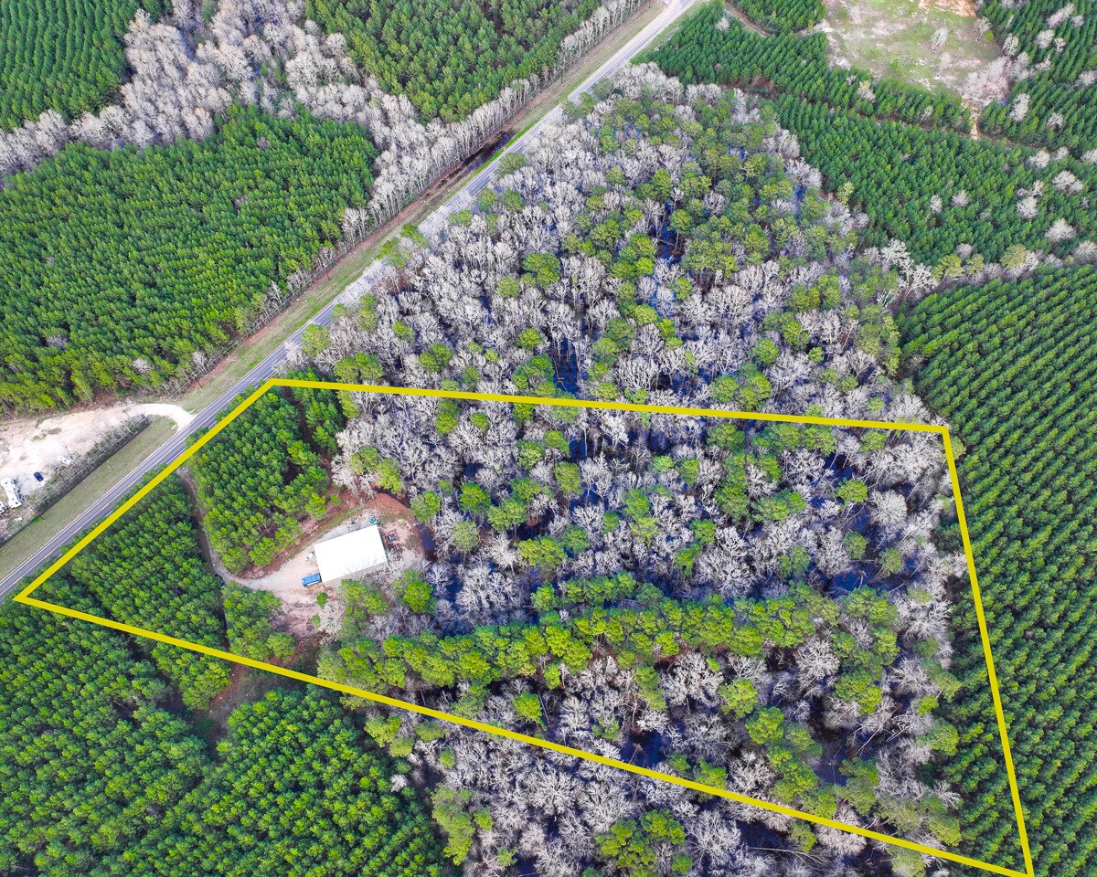 2388 FM 943, Livingston, TX à vendre Photo principale– Image 1 sur 33