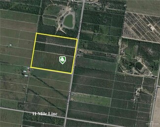 Plus de détails pour 0 N Western Rd, Mission, TX - Terrain à vendre