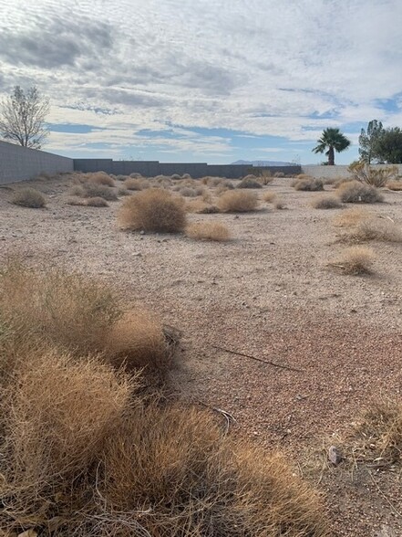 135 Fig Leaf Ln, Palm Gardens, NV à vendre - Autre – Image 2 sur 16
