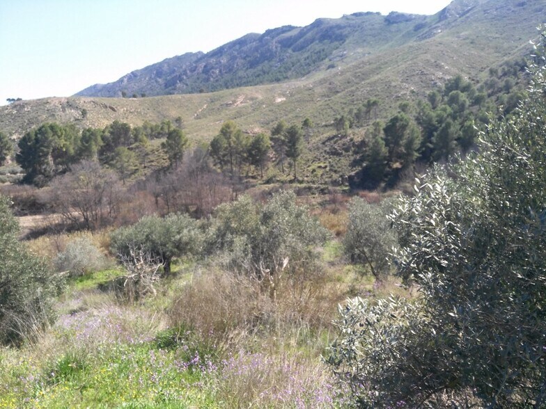 Terrain dans Calasparra à vendre - Photo de l’immeuble – Image 2 sur 10