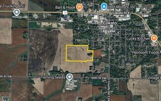 Plus de détails pour 820 Johnson Ave SW, Cokato, MN - Terrain à vendre
