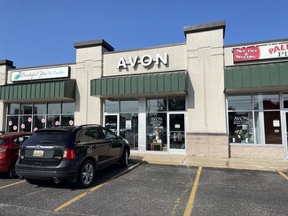 Plus de détails pour 4643 Alpine Ave NW, Comstock Park, MI - Local commercial à louer