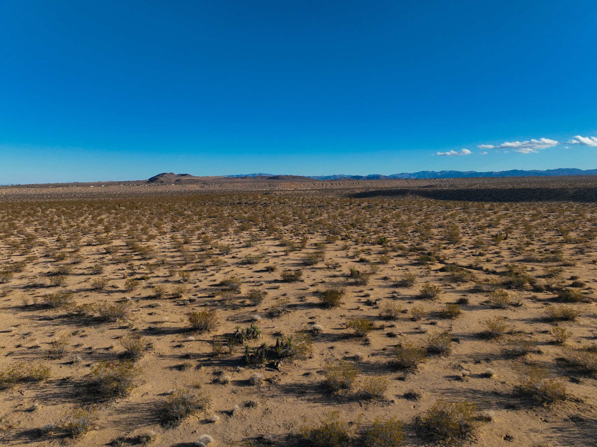 56923 Reche Rd, Yucca Valley, CA à vendre Photo principale– Image 1 sur 29