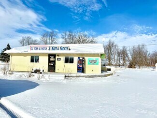 Plus de détails pour 18845 IL-54, De Witt, IL - Local commercial à vendre