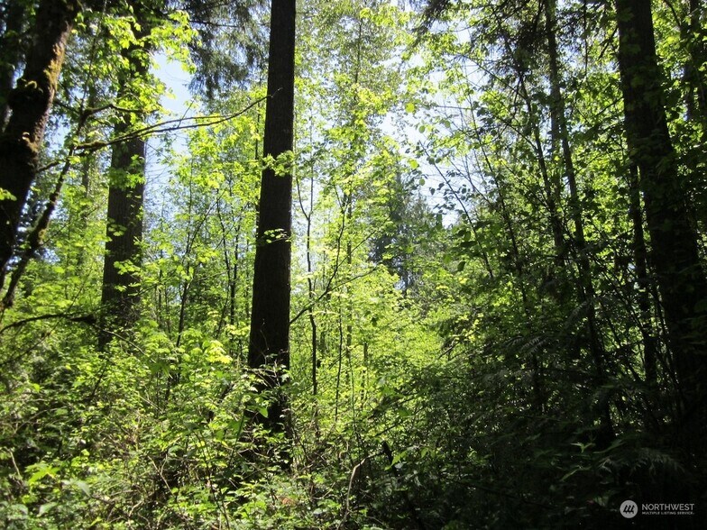 20633 SE 388th St, Enumclaw, WA à vendre - Photo de l’immeuble – Image 3 sur 5