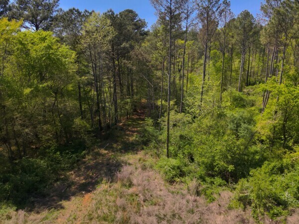 0 S Sauty Rd, Langston, AL à vendre - Aérien – Image 3 sur 7