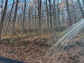 Plus de détails pour 120 Millbrook Rd, Washington, NJ - Terrain à vendre