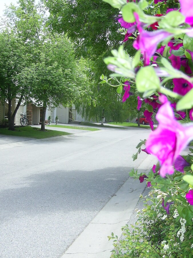 View Photo