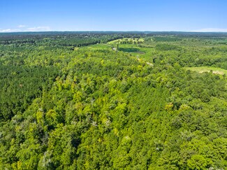 Plus de détails pour 7471 Highway 155, Saline, LA - Terrain à vendre