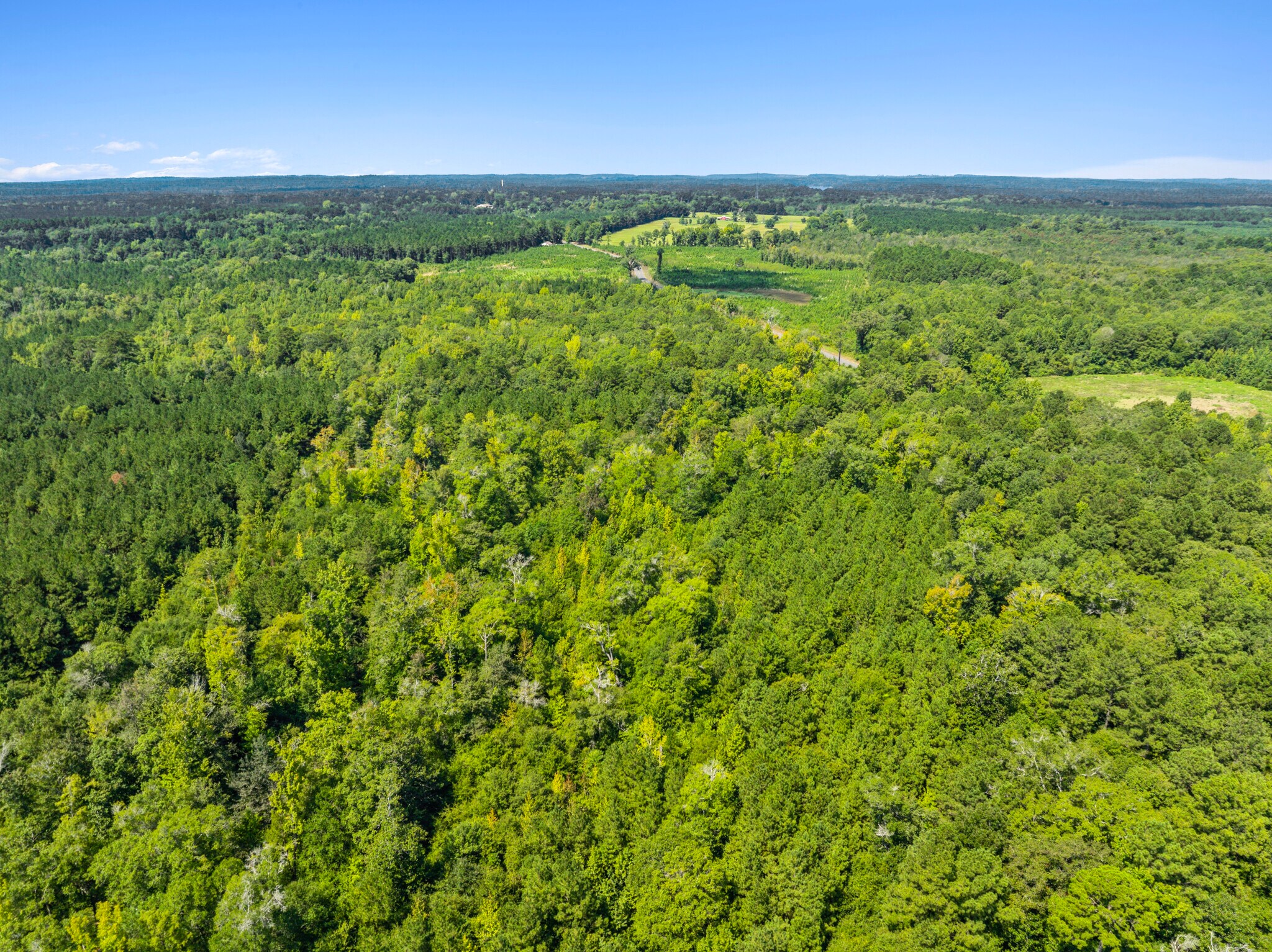 7471 Highway 155, Saline, LA à vendre Photo principale– Image 1 sur 81