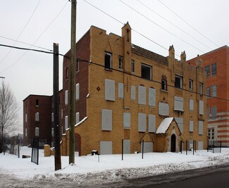 Plus de détails pour Detroit Multifamily Units – Logement à vendre, Detroit, MI