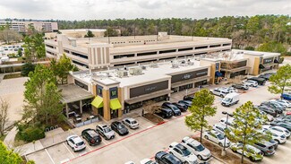 Plus de détails pour 2455 Research Forest Dr, The Woodlands, TX - Local commercial à louer