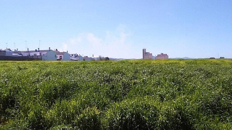 Terrain dans Osuna, Sevilla à vendre - Photo principale – Image 1 sur 8