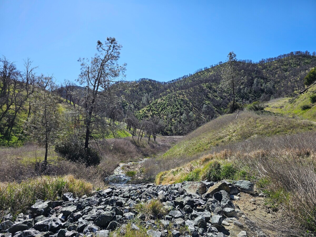 View Photo