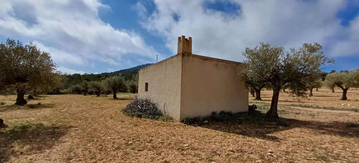 Terrain dans Yecla, Murcia à vendre Photo principale– Image 1 sur 8