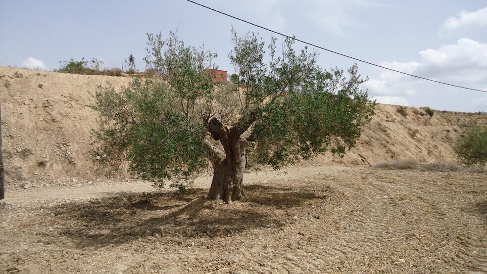 Terrain dans Abanilla, Murcia à vendre - Photo principale – Image 3 sur 31