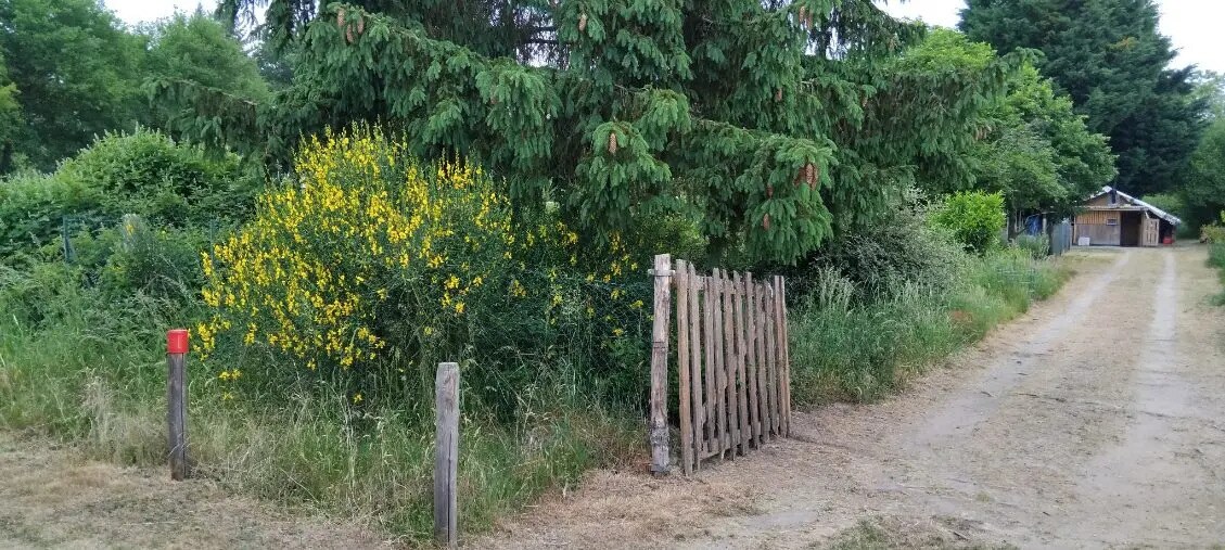 Terrain dans Les Bordes à vendre Photo principale– Image 1 sur 1