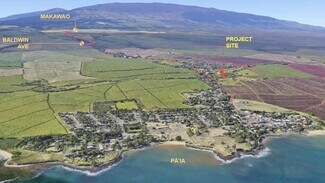 Plus de détails pour 300 Baldwin Ave, Paia, HI - Terrain à louer