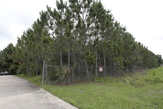 Plus de détails pour 0 State Route 100, Bunnell, FL - Terrain à vendre