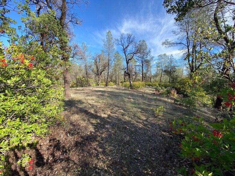 15785 Placer ct, Corning, CA à vendre - Photo de l’immeuble – Image 2 sur 24