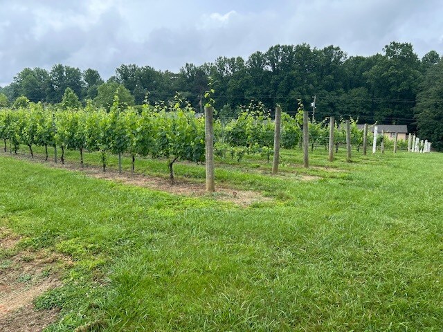 124 Sandy Hill Ln, Hendersonville, NC à vendre Photo principale– Image 1 sur 37