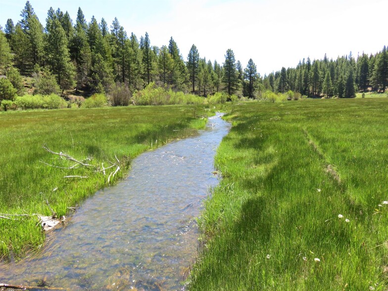 6340 County Road 133C, Davis Creek, CA à vendre - Photo de l’immeuble – Image 3 sur 40