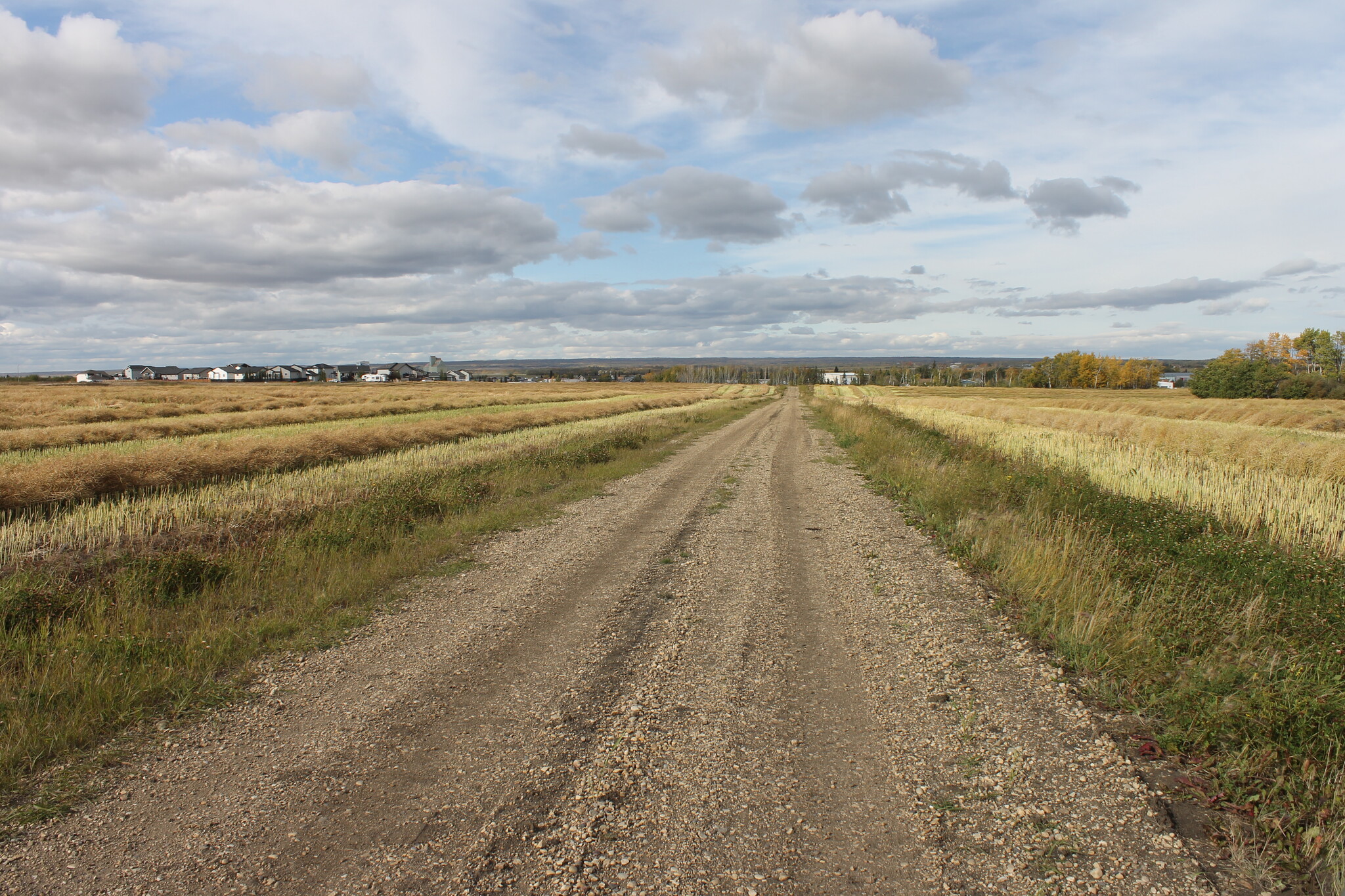 9300 101 Street, Sexsmith, AB à vendre Photo principale– Image 1 sur 2