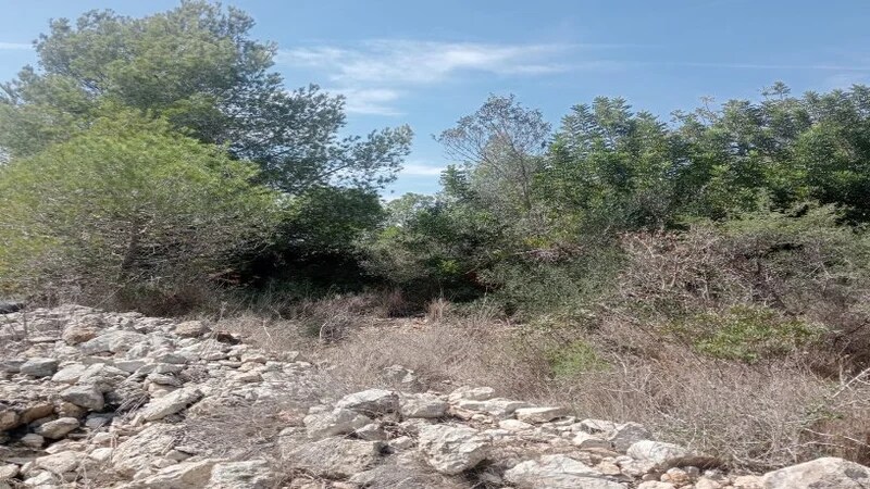 View Photo