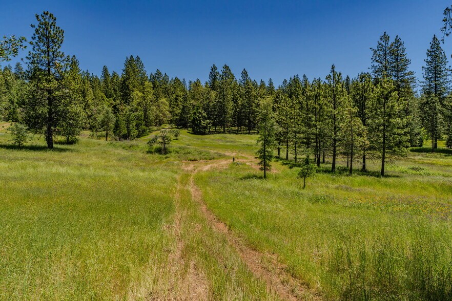 25755 State Highway 88, Pioneer, CA à vendre - Photo de l’immeuble – Image 2 sur 20