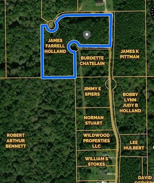 00 Maypop Ln, Meadville, MS à vendre - Photo principale – Image 2 sur 14