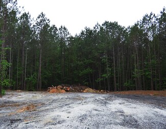 Plus de détails pour 2680 River Rd, Ellenwood, GA - Terrain à vendre