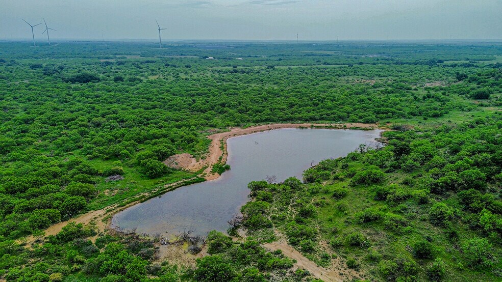 250 County Road 317, Putnam, TX à vendre - Photo de l’immeuble – Image 2 sur 30