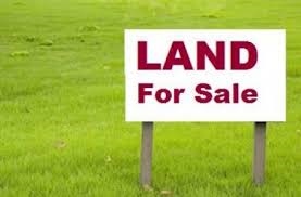 3360 Whitney Ave, Hamden, CT à louer - Photo de l’immeuble – Image 3 sur 5