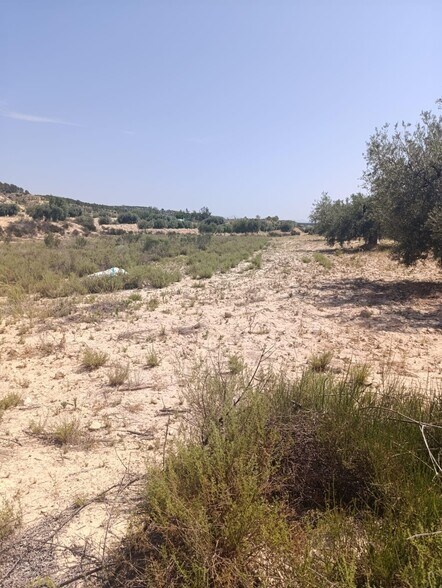 Terrain dans Albudeite, Murcia à vendre - Plan de site – Image 3 sur 3