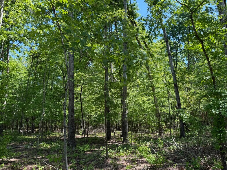 Hidden Harbor Road road, Lincolnton, GA à vendre - Photo de l’immeuble – Image 3 sur 45