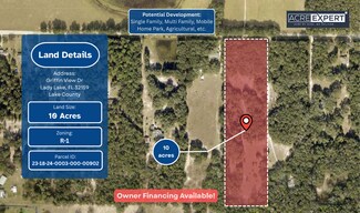 Plus de détails pour Griffin View Drive, Lady Lake, FL - Terrain à vendre