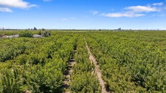 Plus de détails pour E Rose Ave and S Cherry ave, Fresno, CA - Terrain à vendre