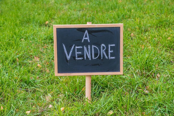Terrain dans Moustey à vendre - Photo de l’immeuble – Image 1 sur 1