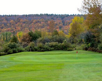 Plus de détails pour Portfolio Sale Land – Terrain à vendre, Turin, NY