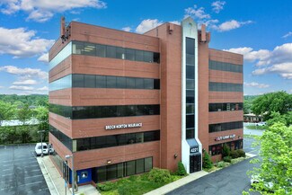 Plus de détails pour 4221 Walney Rd, Chantilly, VA - Bureau à louer
